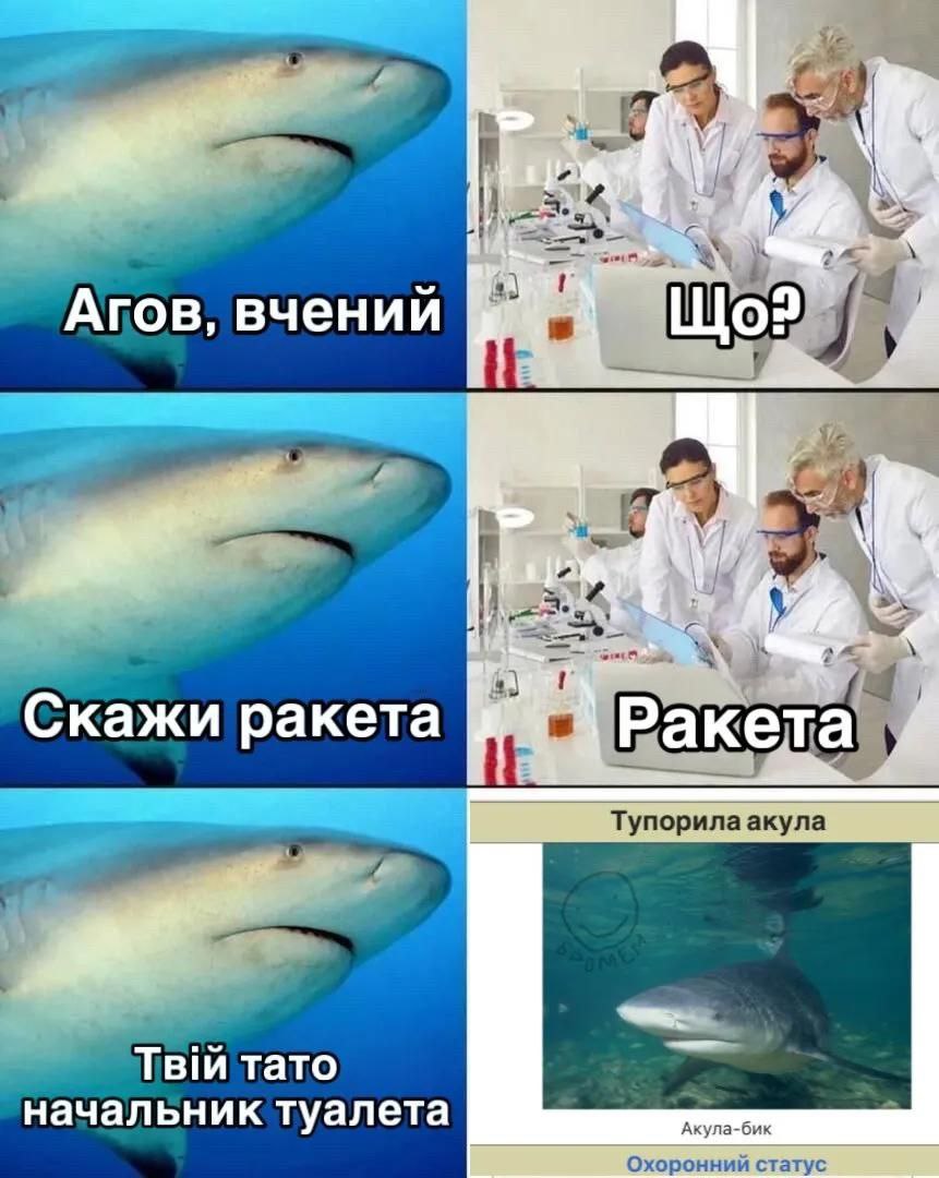 Ескапізм та Реготуньки tweet media