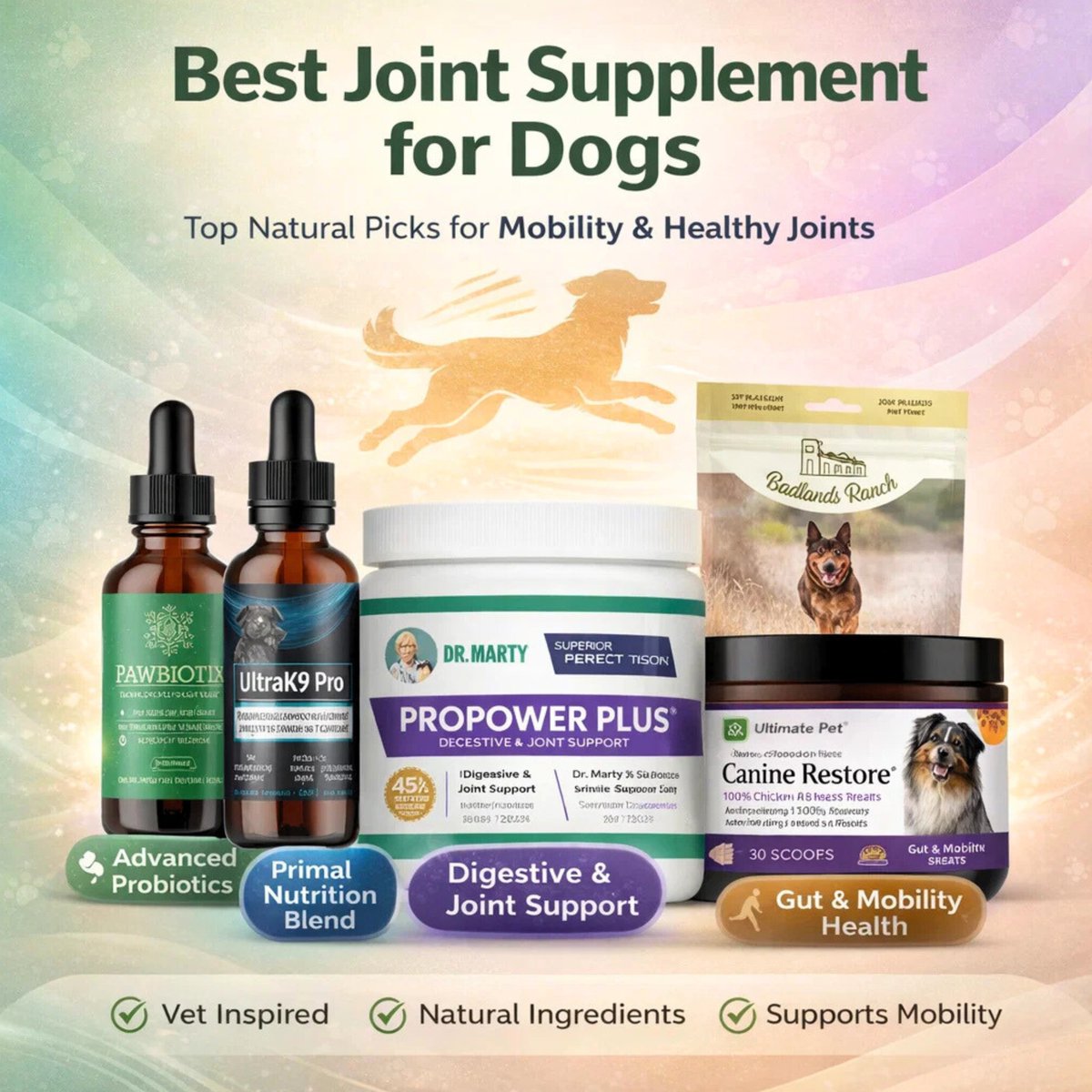 _ellieflores_'s tweet image. 🐶 Keep your dog active and comfortable with trusted joint support supplements like Pawbiotix, UltraK9 Pro, Dr. Marty ProPower Plus, Ultimate Pet Nutrition Canine Restore, and Badlands Ranch Superfood Bites for stronger mobility and daily vitality.
#DogJointHealth #HealthyDogs