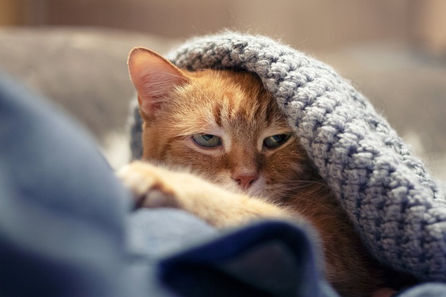 Fernando Guerrero tweet media