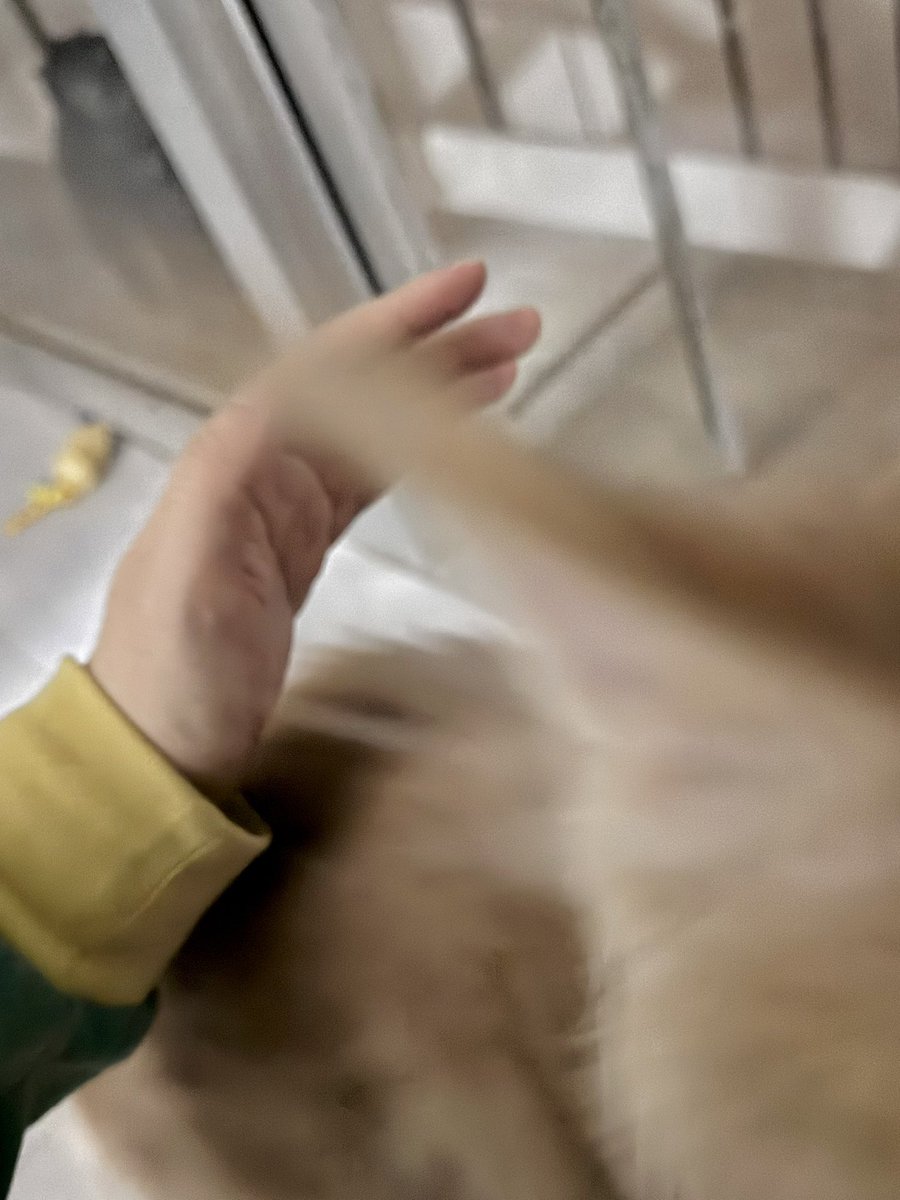 57Friend tweet media