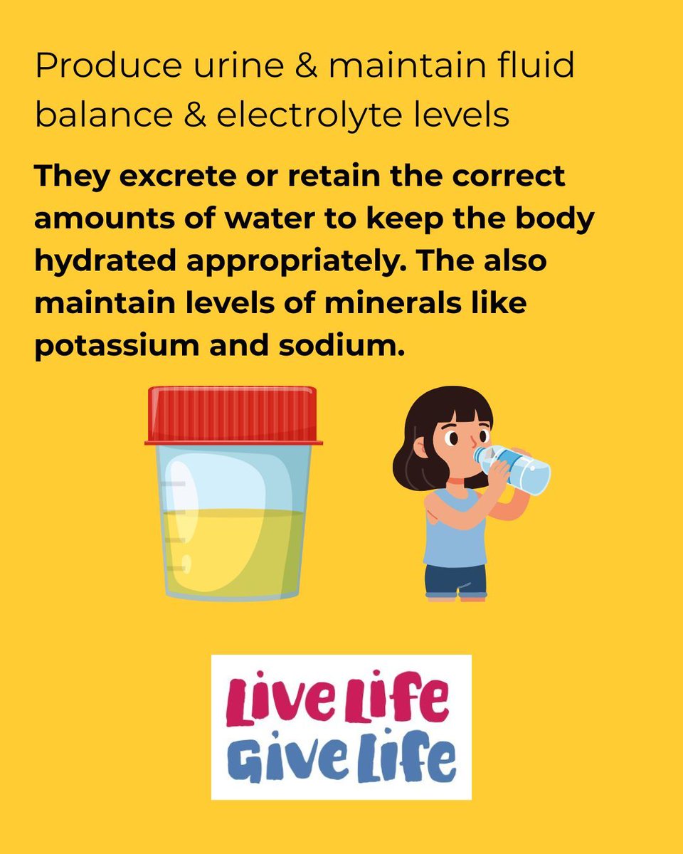 Live Life Give Life tweet media