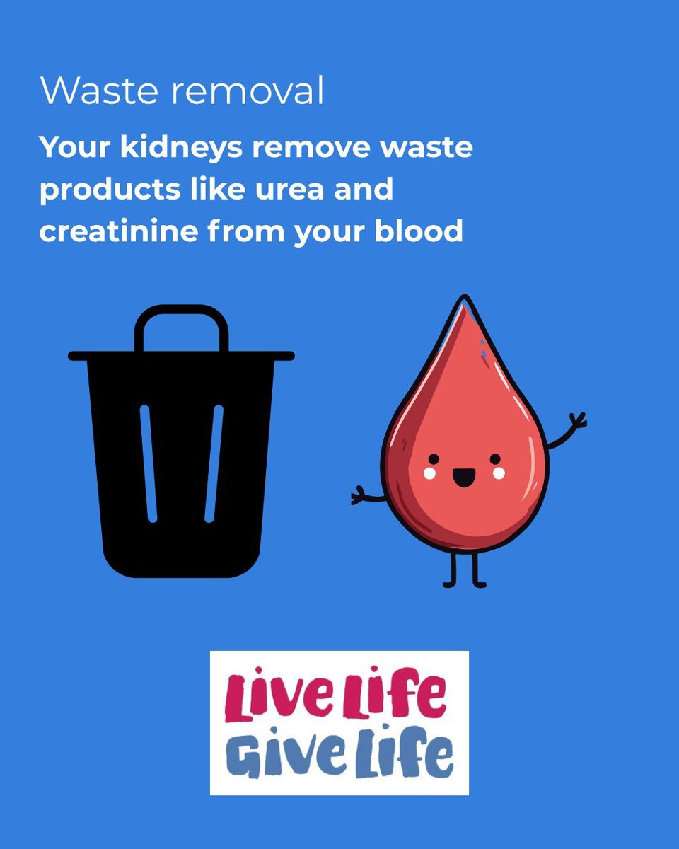 Live Life Give Life tweet media