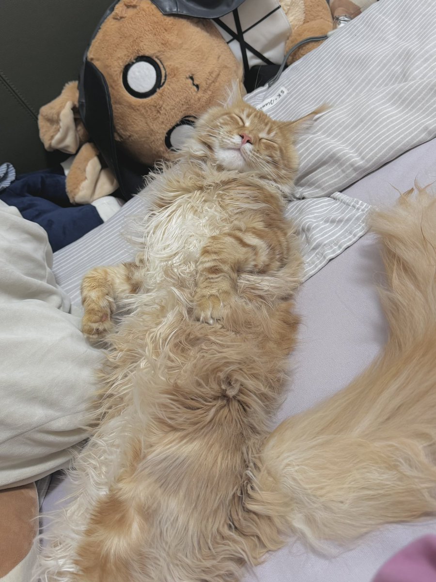 57Friend tweet media