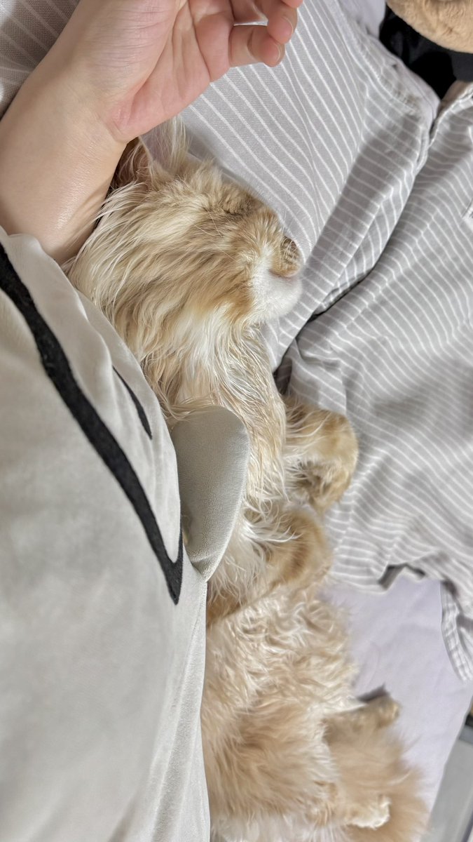 57Friend tweet media