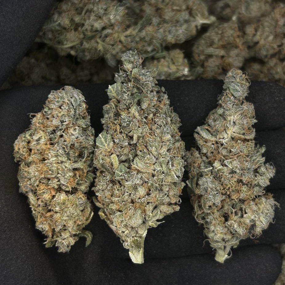 Silent Deal tweet media