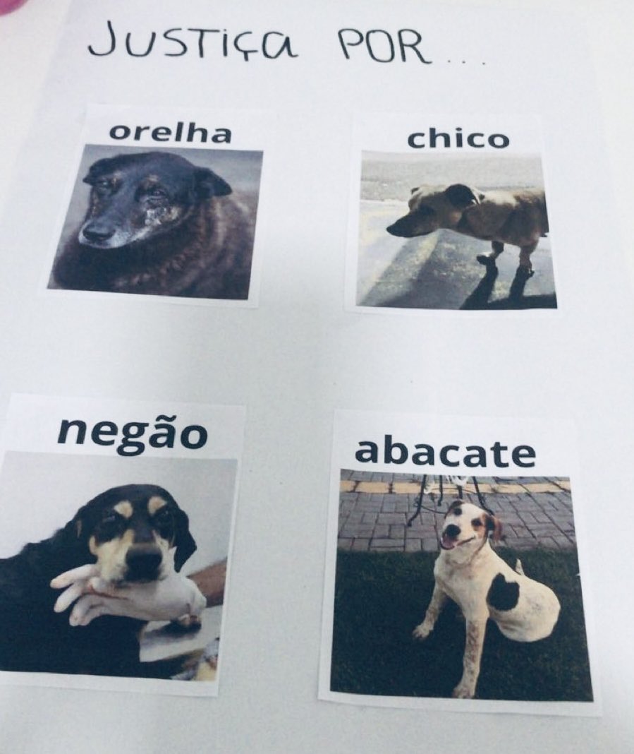 Queremos justiça por Orelha, Negão, Chico e Abacate.
Vidas inocentes que partiram vítimas da crueldade humana.
Eles não puderam se defender, mas agora têm a nossa voz.
Chega de impunidade.
Chega de dor.

Enquanto houver memória, haverá luta. 🐾💔✊