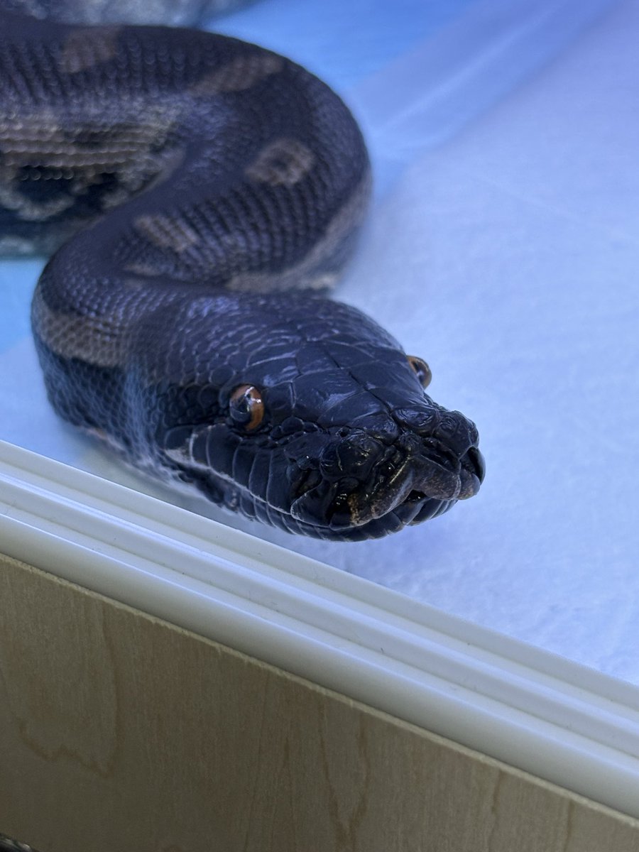 笑ってるかはわからないけど、穏やかな顔を見られるだけでこの上ない幸せなのだ❤️