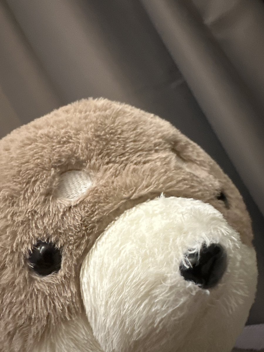xJavyz's tweet photo. https://t.co/ZW8WdU0BOH