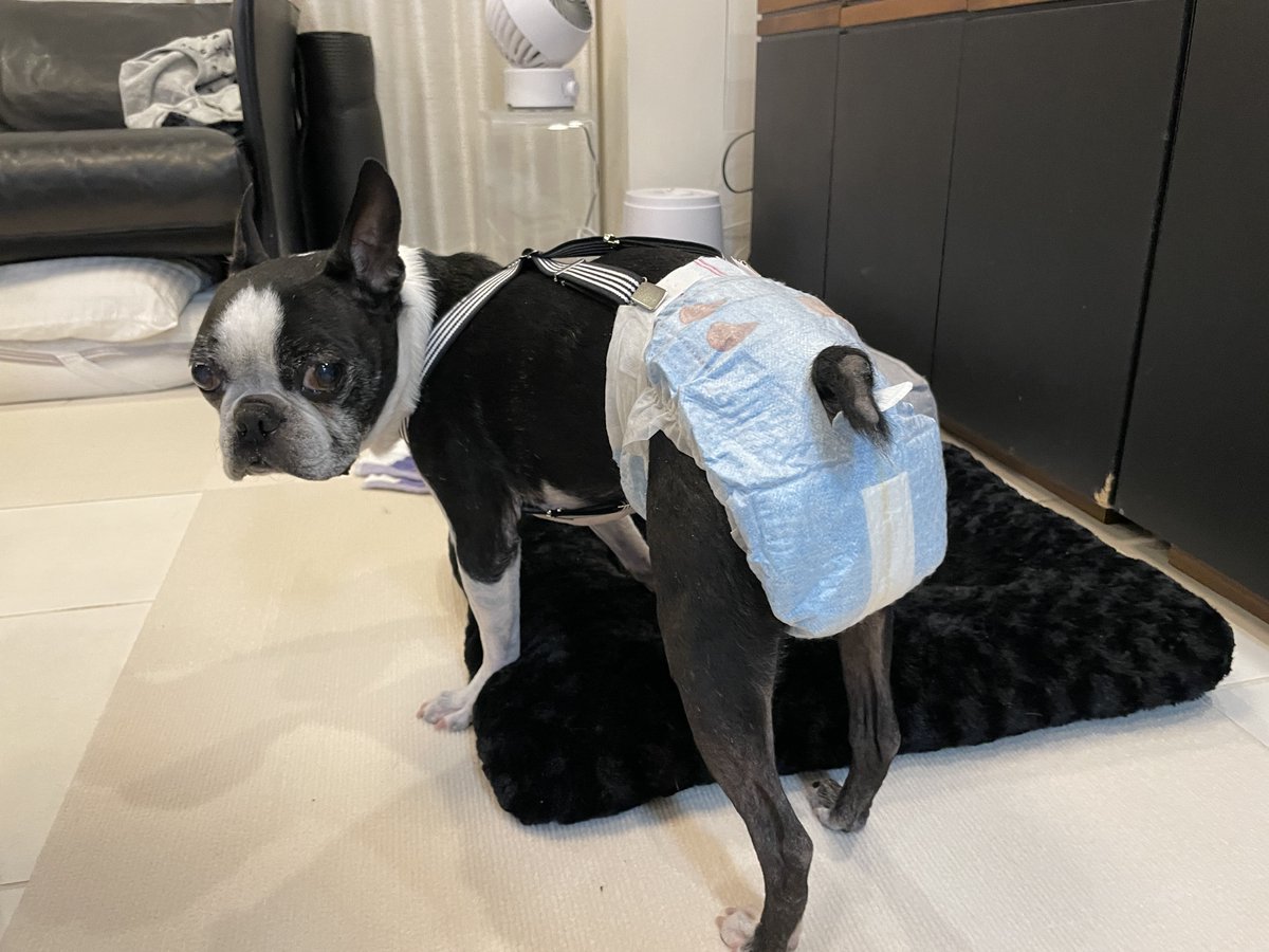 Shigetsu Takayama tweet media