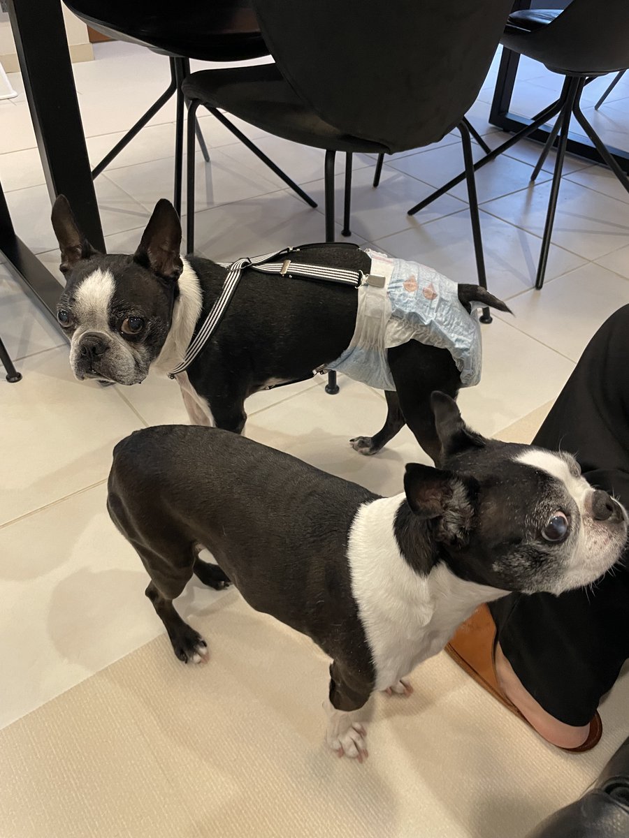 Shigetsu Takayama tweet media