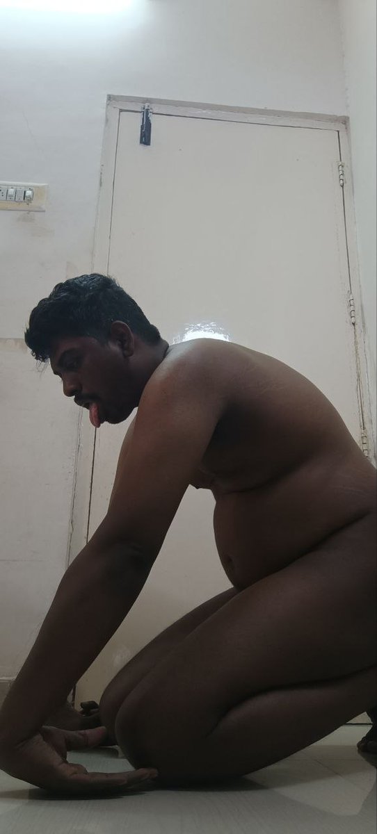 DomExplr0001 tweet media