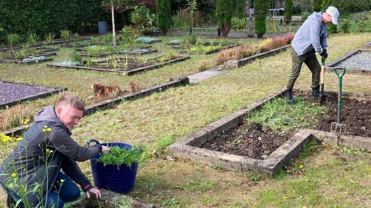 Provan Hall tweet media