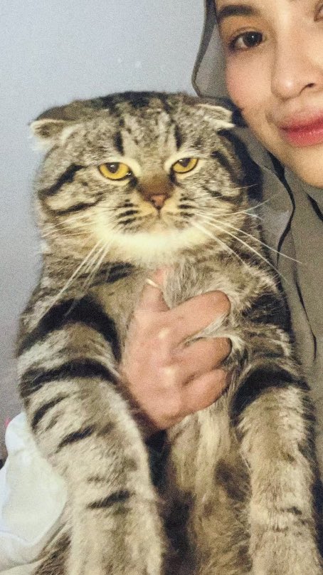 Tambah gede ekspresinya malah terlihat tambah muak sama mamaknya ini😭😑