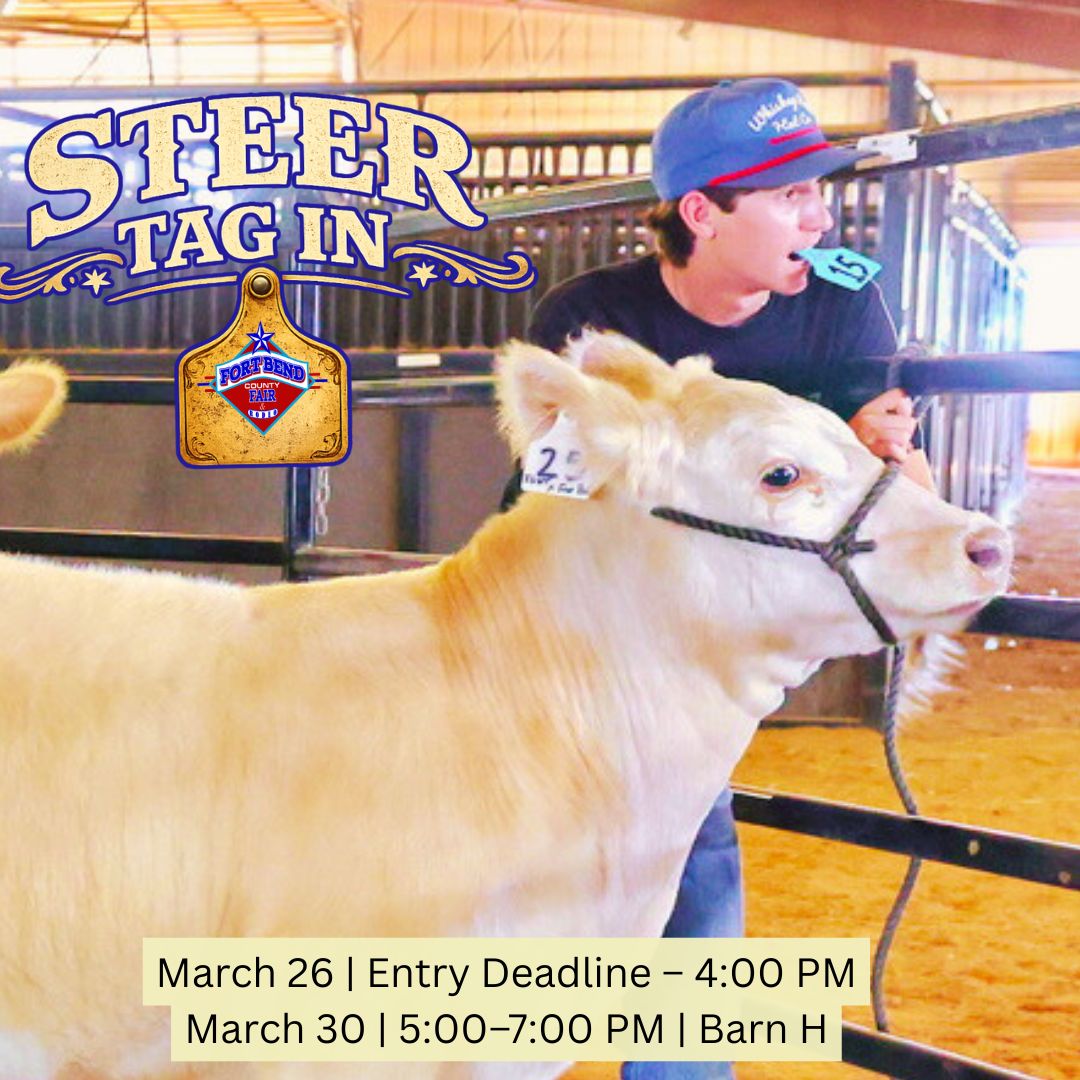 Fort Bend CountyFair tweet media