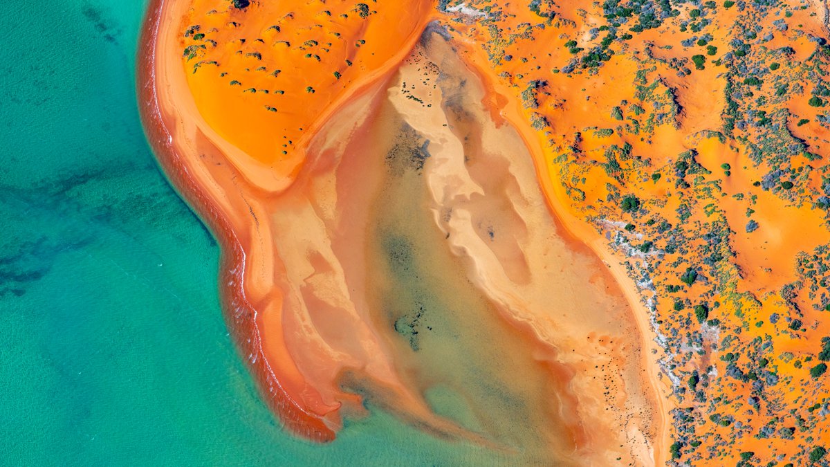 Discovery tweet media