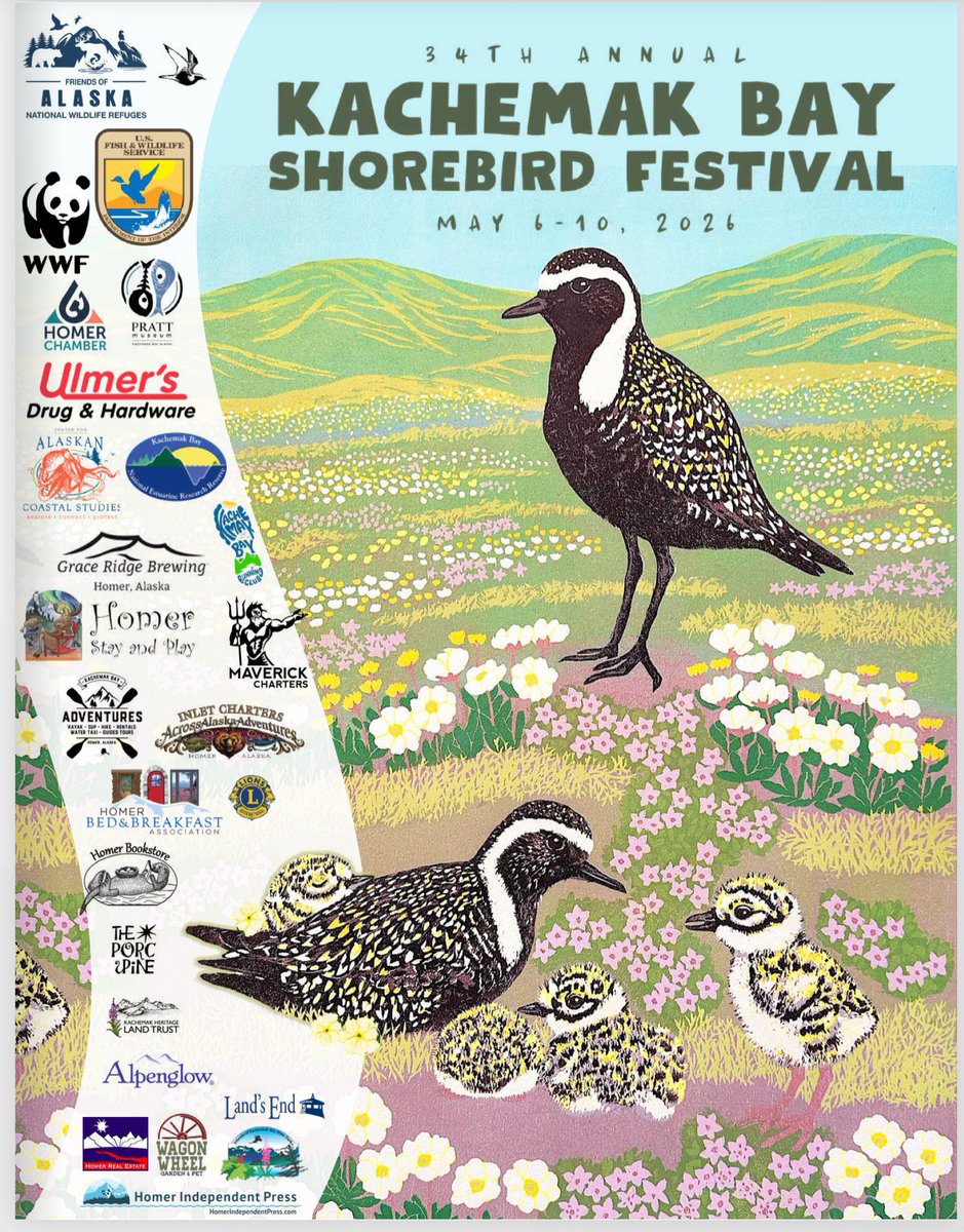 Wader Quest tweet media