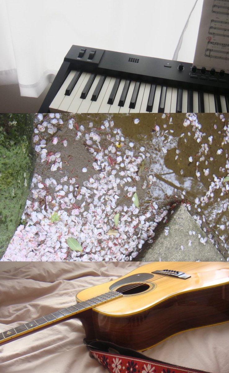 桜花 琴 -oka koto- tweet media