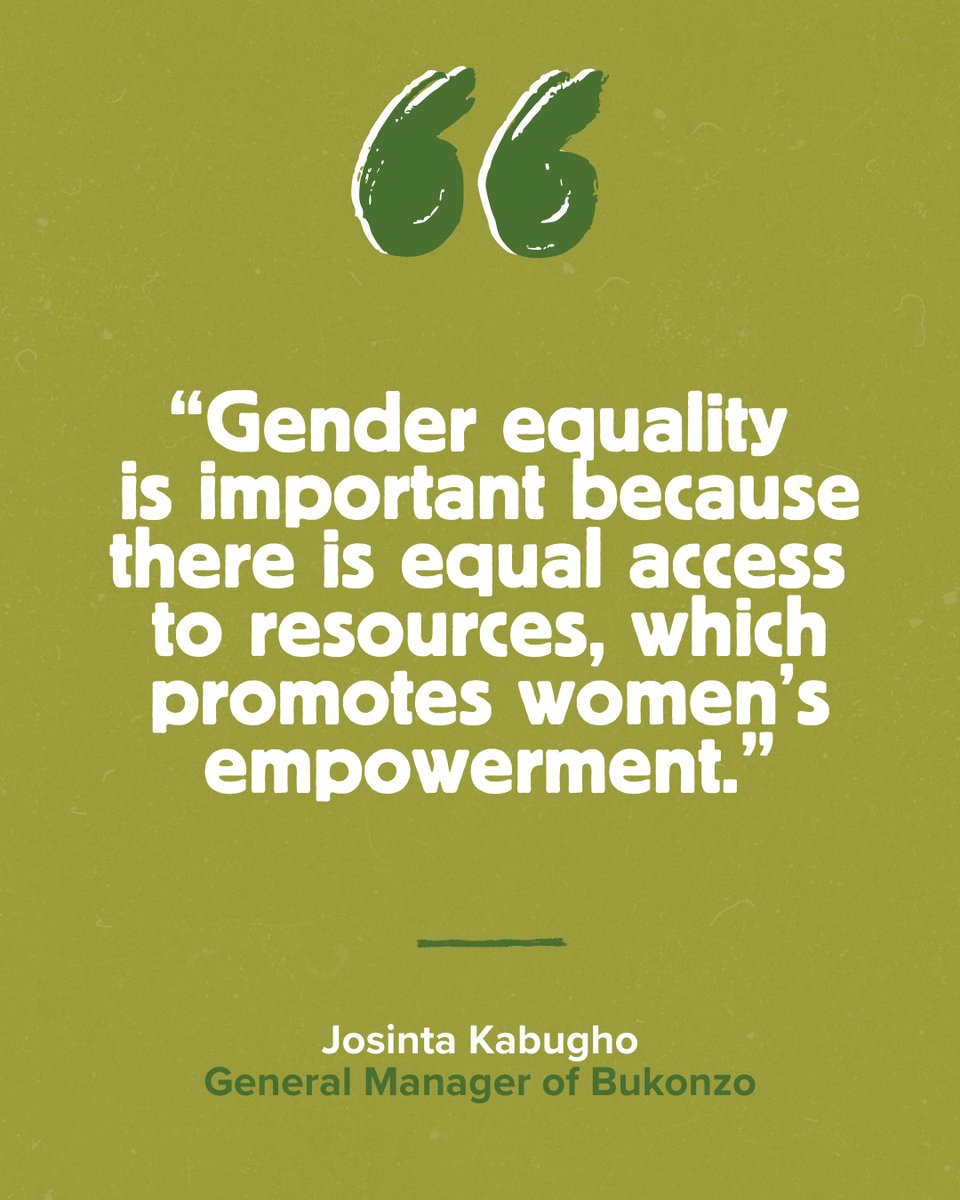 Shared Interest tweet media