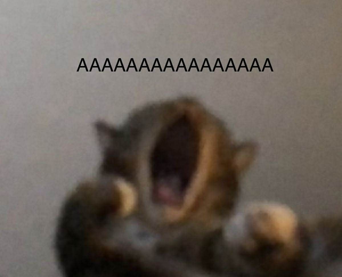 KyleRectify tweet media