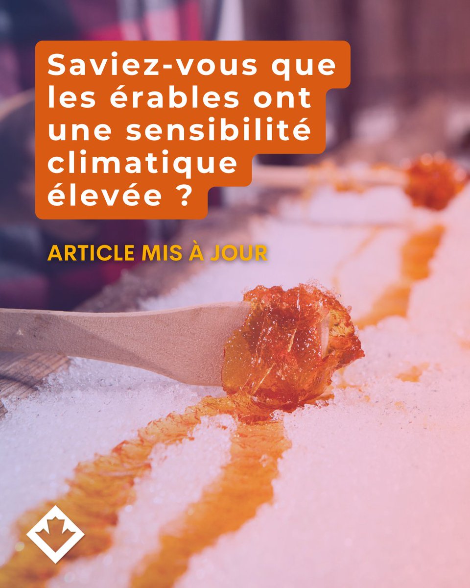 Donnéesclimatiques.ca tweet media