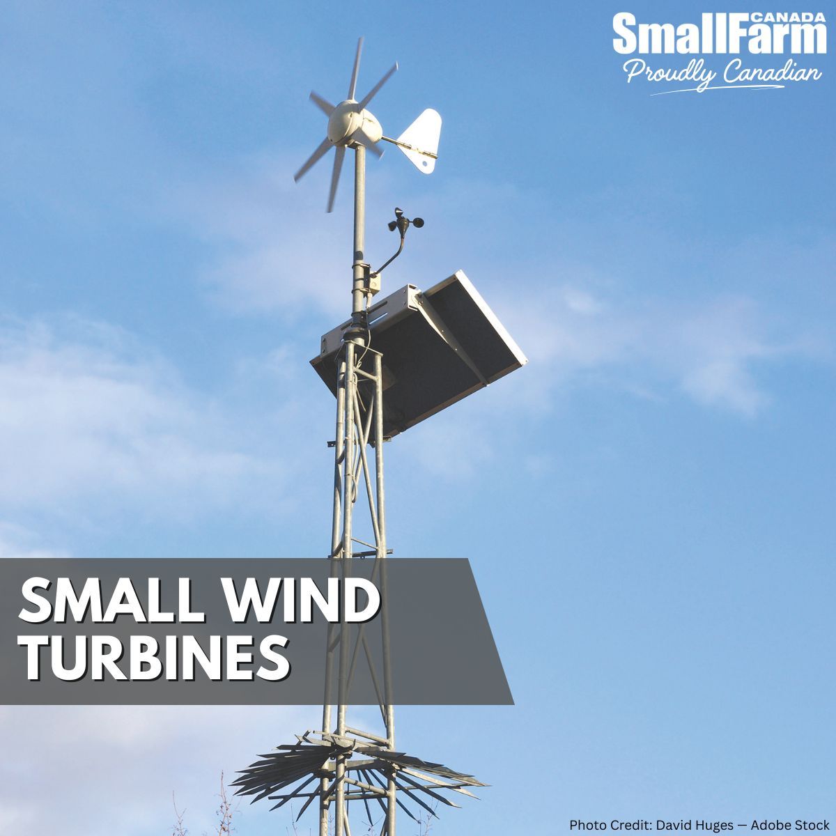 Small Farm Canada tweet media