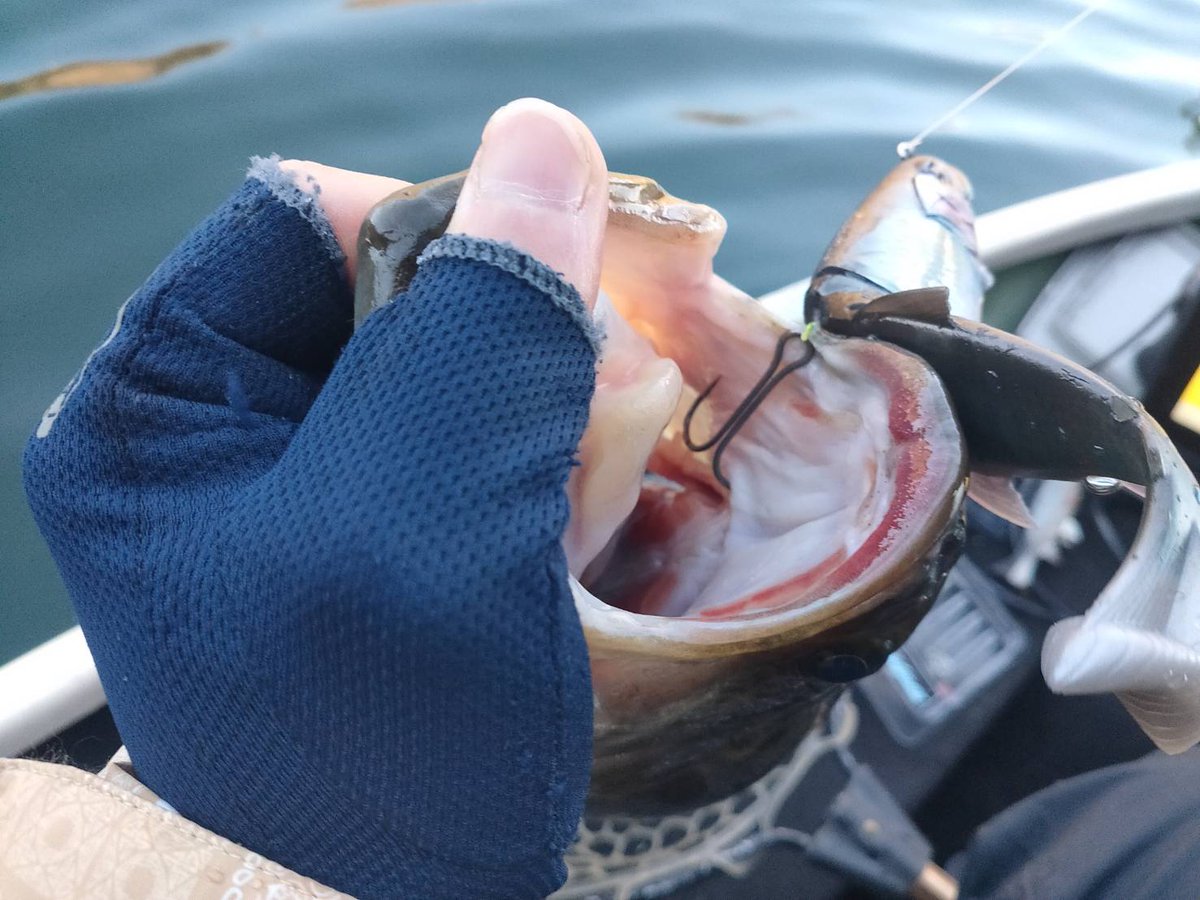 雨宮正裕 tweet media