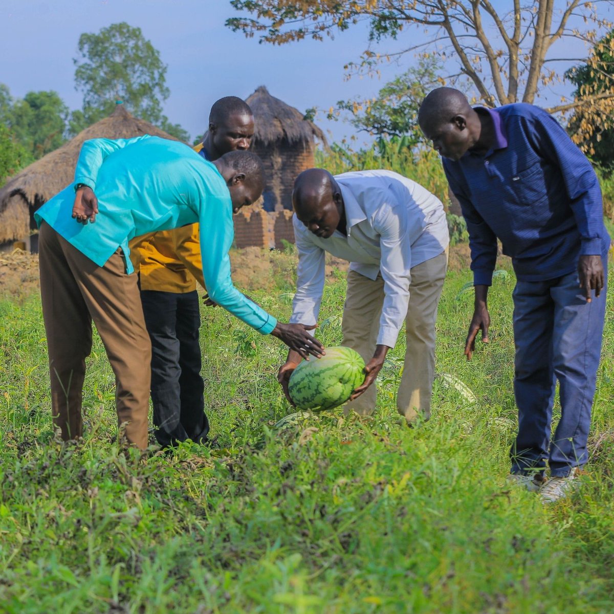 ForAfrika tweet media