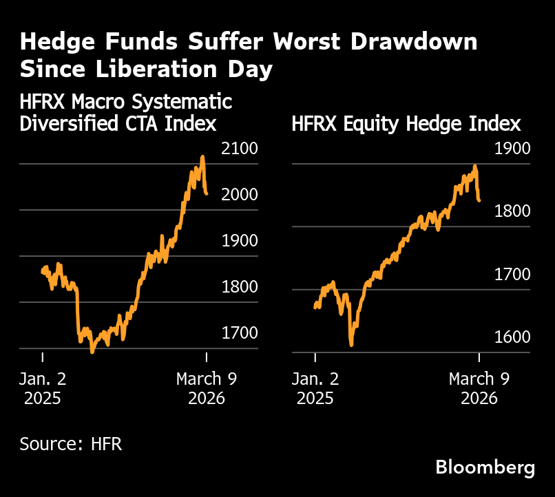 Denitsa Tsekova tweet media
