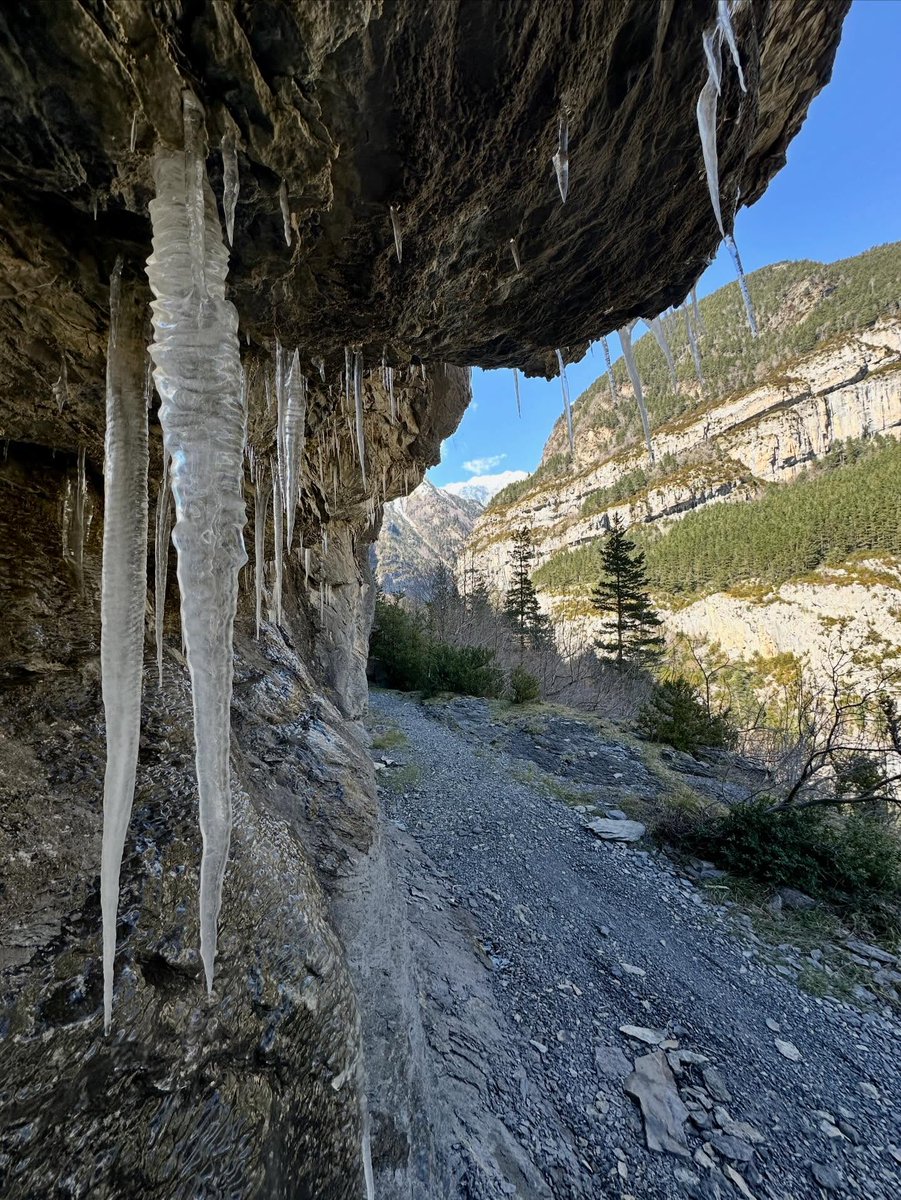Huesca La Magia tweet media
