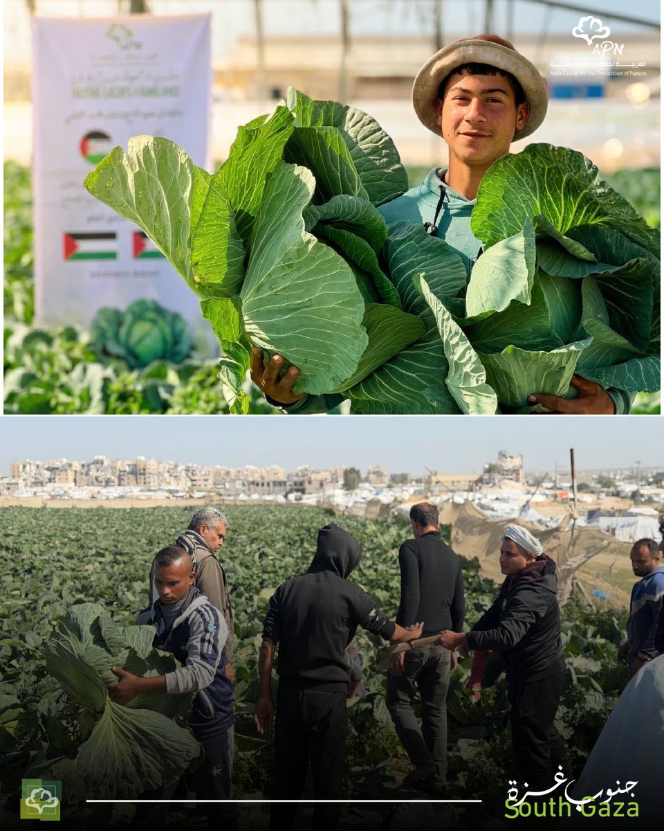 العربية لحماية الطبيعة - APN tweet media