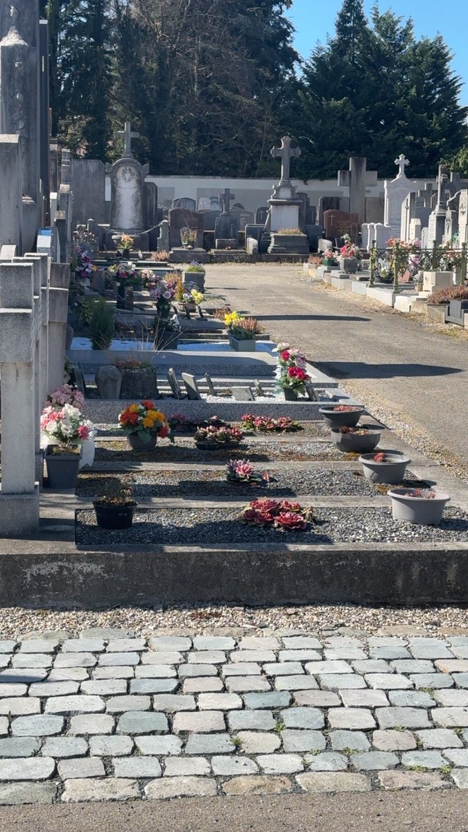 𝑀𝑒𝓁𝒾𝓀𝒶 🇮🇷🇹🇯 tweet media