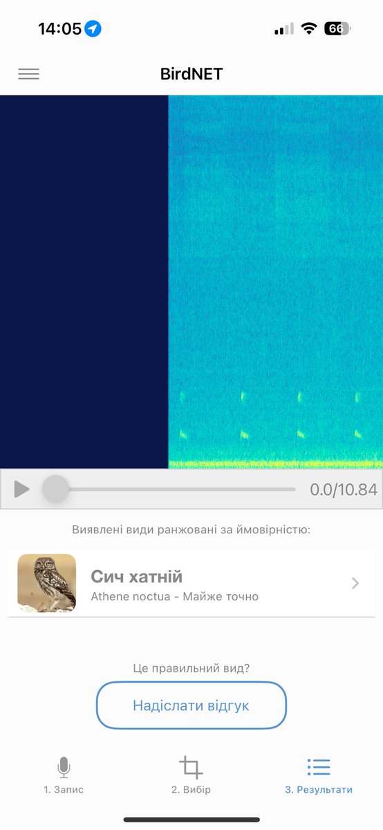 Oleksandra Karpenter 🇺🇦 tweet media