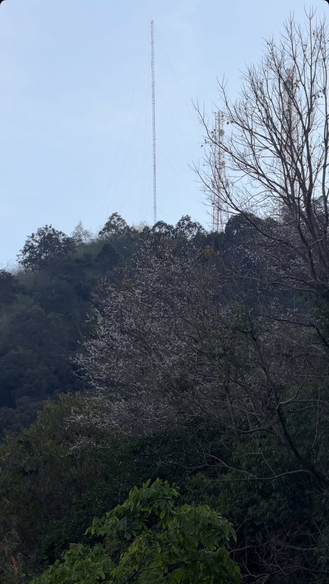 IGs update [12032026] 🌕🌳🪾

#BuildJakapan <a href="/JakeB4rever/">BIU.</a> 
#Beyourluve