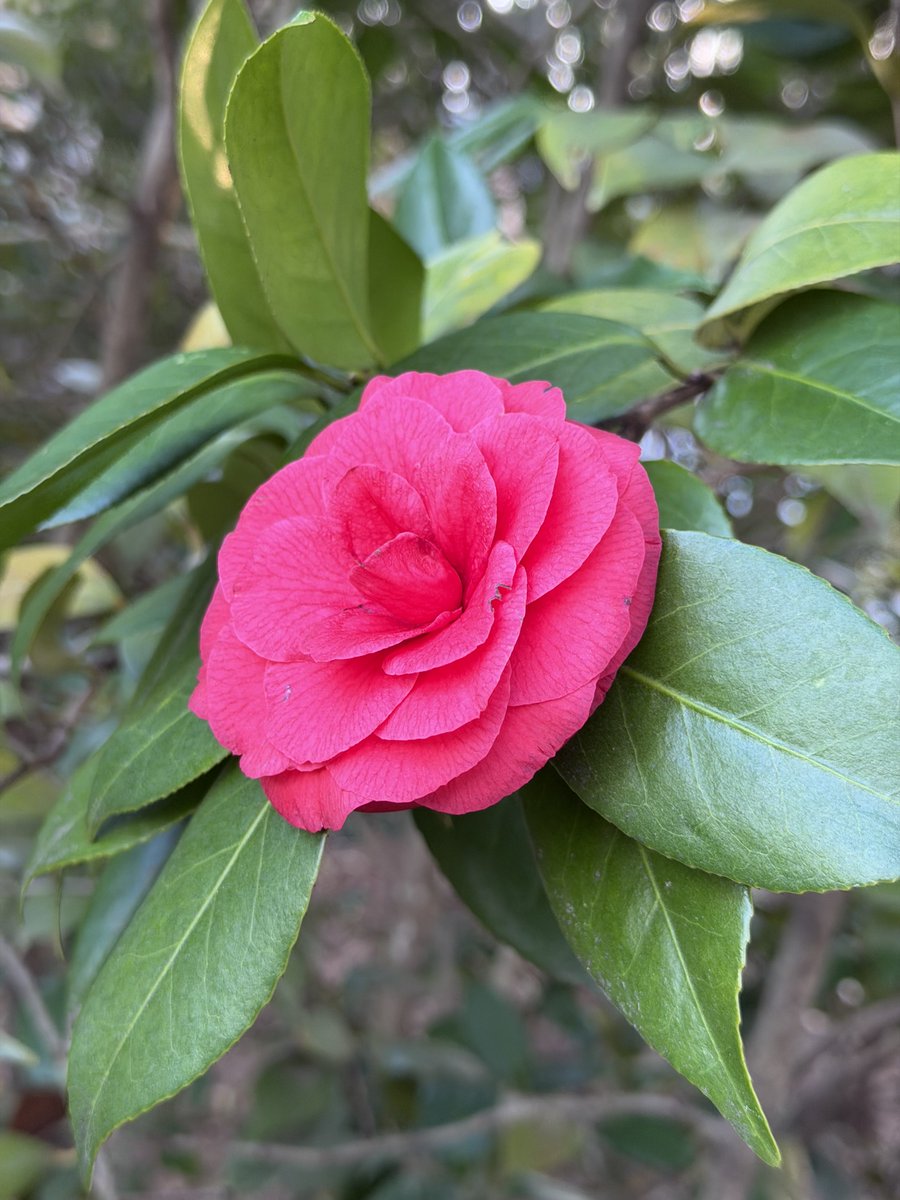 Jo Hackl tweet media