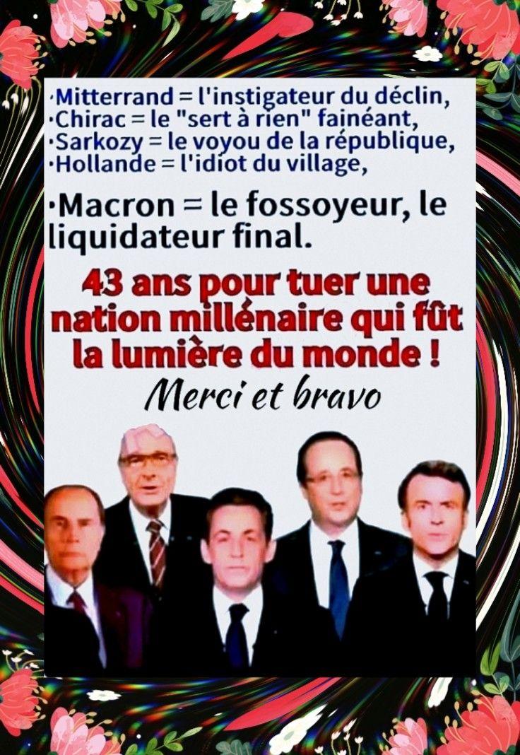 Andreani ghjuvan 🐞 tweet media