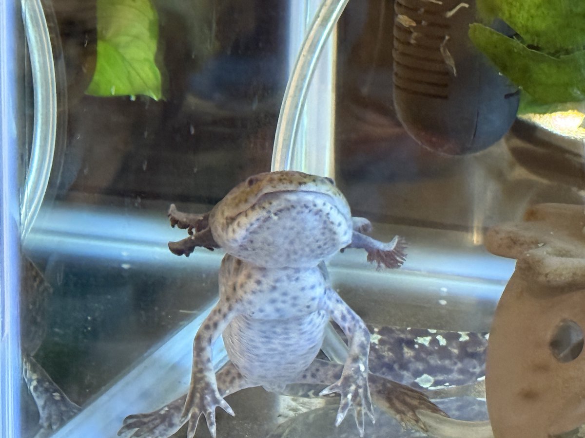 お久しぶりです( ˙꒳˙ )ゞ

おふたりともお元気です
٩(๑❛ᴗ❛๑)۶