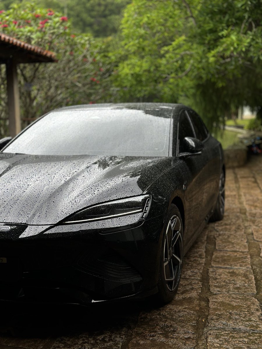 cabralzin tweet media