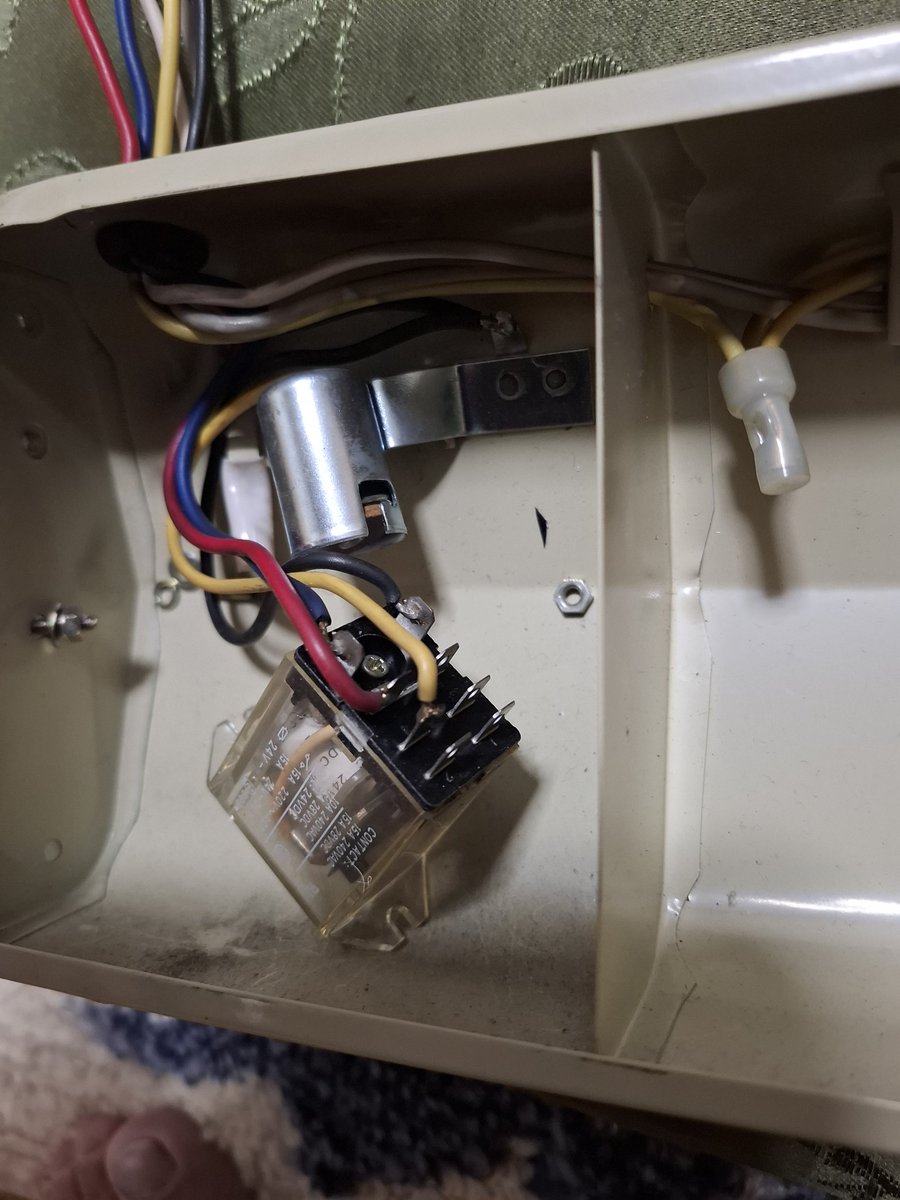 ジャーニー君(賢人) tweet media