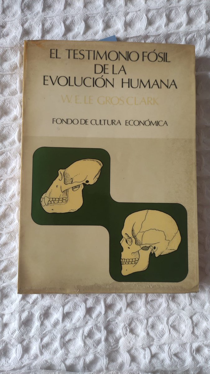 lostinpalmyra's tweet photo. L'altre dia vaig aconseguir-lo a una llibreria de vell del barri. Després d'enseyar els seus famosos craniogrames (i el periple per reproduir-los a pràctiques), em fa especial il·lusió veure'ls impresos en un llibre. 

#llibredevell #antropologia #biblioteca #evolucióhumana https://t.co/sBFa8ciUmO