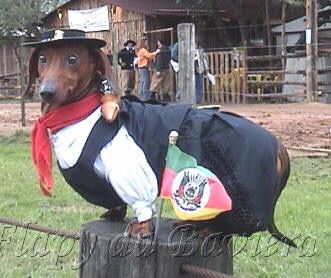 Sashiᶠᵇᵖᵃ 🇪🇪 tweet media