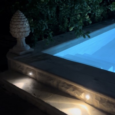 SalvoNEWS tweet media