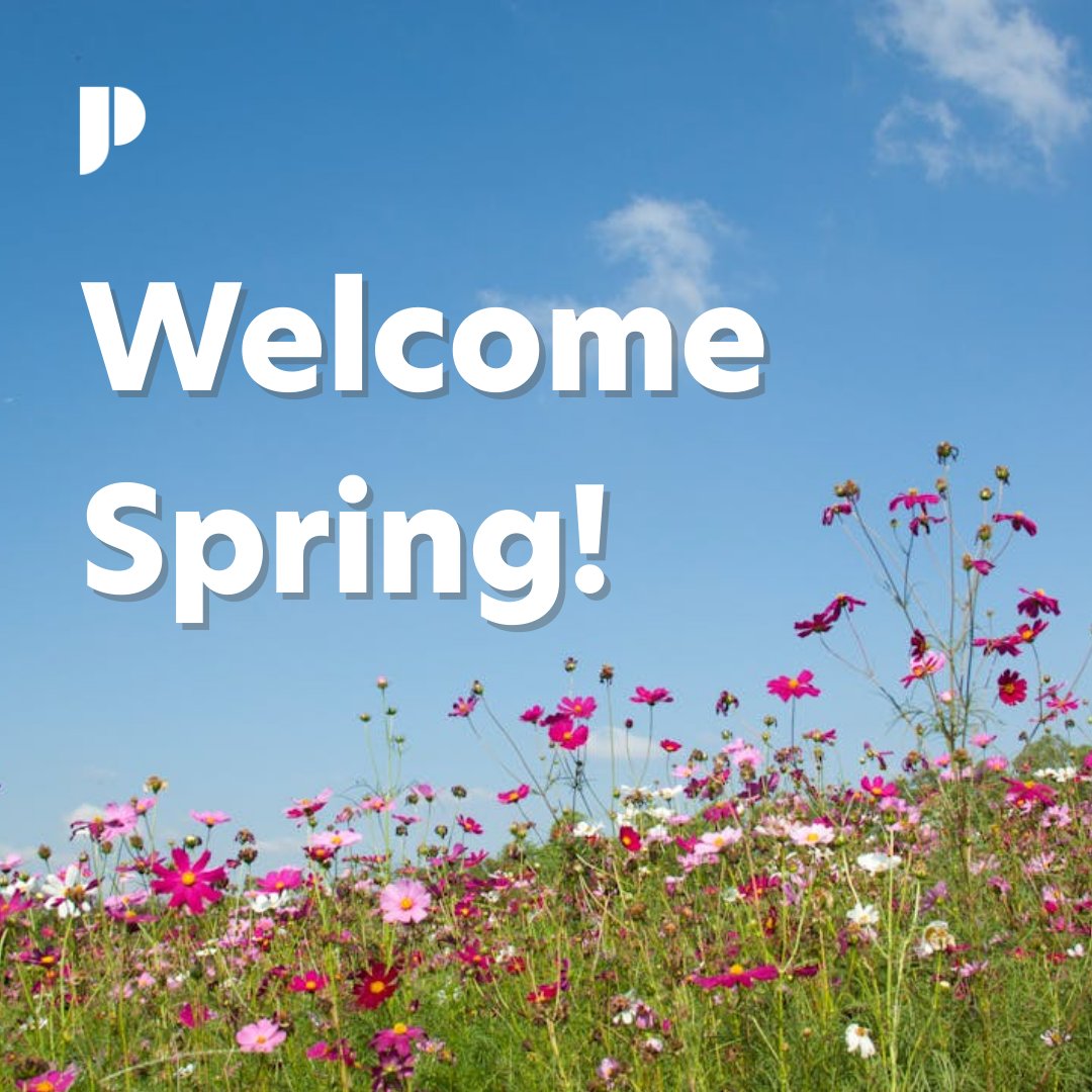 Patons Insurance tweet media