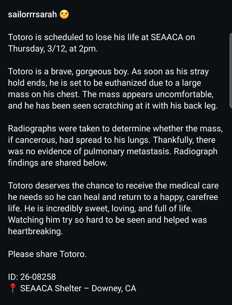 Foster a shelterpet at ZERO COST🐾 tweet media