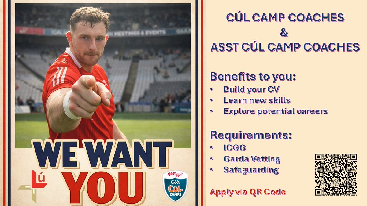 Louth GAA tweet media