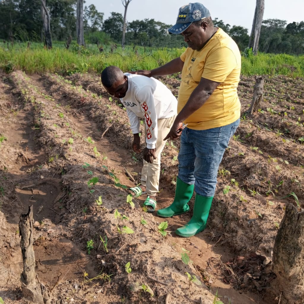 AgriEn_Network's tweet photo. Young farmers shaping Zambia’s food future.
Wigan Bwalya (25) from Luwingu joined the Ubuntu-AgriEn Seed Multiplication Programme  under THRIVE2030 and is already seeing strong germination from certified seed.
His dream: own a car by 2028.🌾 https://t.co/1n4NCEJHpZ
