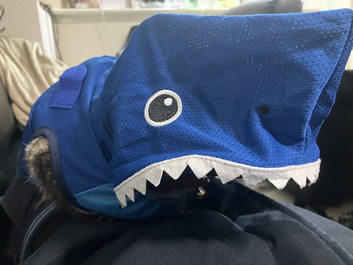 てった tweet media