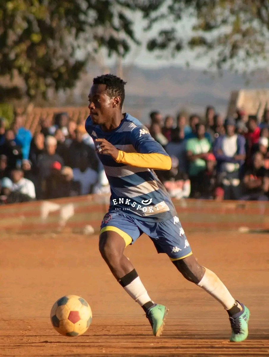 A R N O L D tweet media