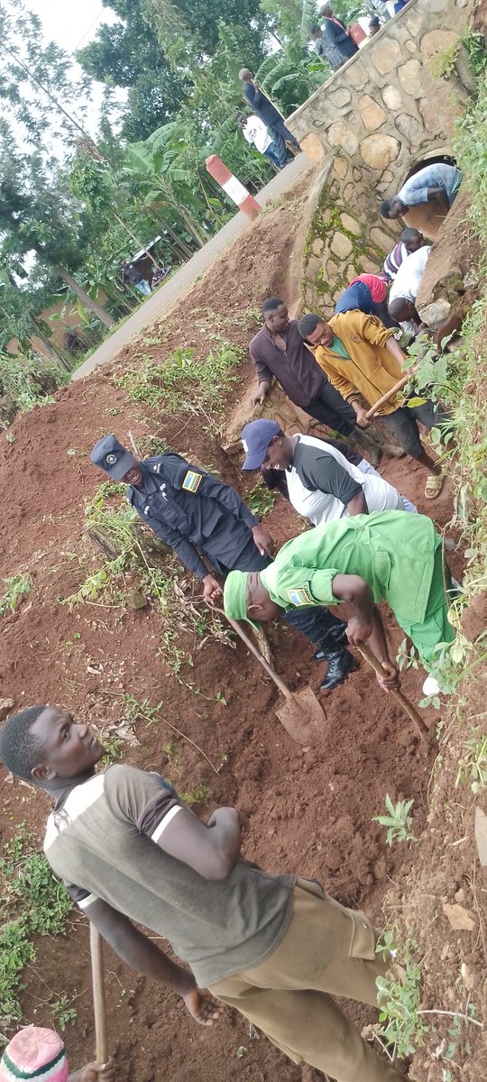 sectorgasange1's tweet photo. Ku bufatanye bw'ubuyobozi bw'Umurenge wa Gasange,inzego z'umutekano ndetse n'abaturage,
twabyukiye mu muganda wo gukumbira no kurwanya Ibiza biterwa n'imvura @Gasangesector
#Gatsibodistrict
#Esternprovince
#Minaloc https://t.co/hdeO2GbiJ9