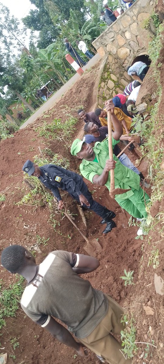 sectorgasange1's tweet photo. Ku bufatanye bw'ubuyobozi bw'Umurenge wa Gasange,inzego z'umutekano ndetse n'abaturage,
twabyukiye mu muganda wo gukumbira no kurwanya Ibiza biterwa n'imvura @Gasangesector
#Gatsibodistrict
#Esternprovince
#Minaloc https://t.co/hdeO2GbiJ9