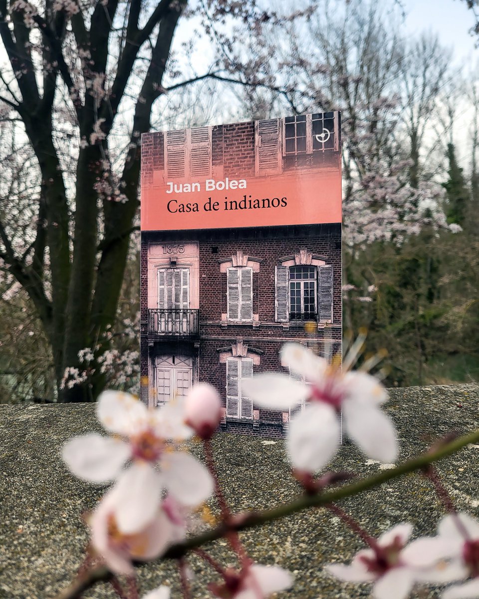 Menoscuarto tweet media